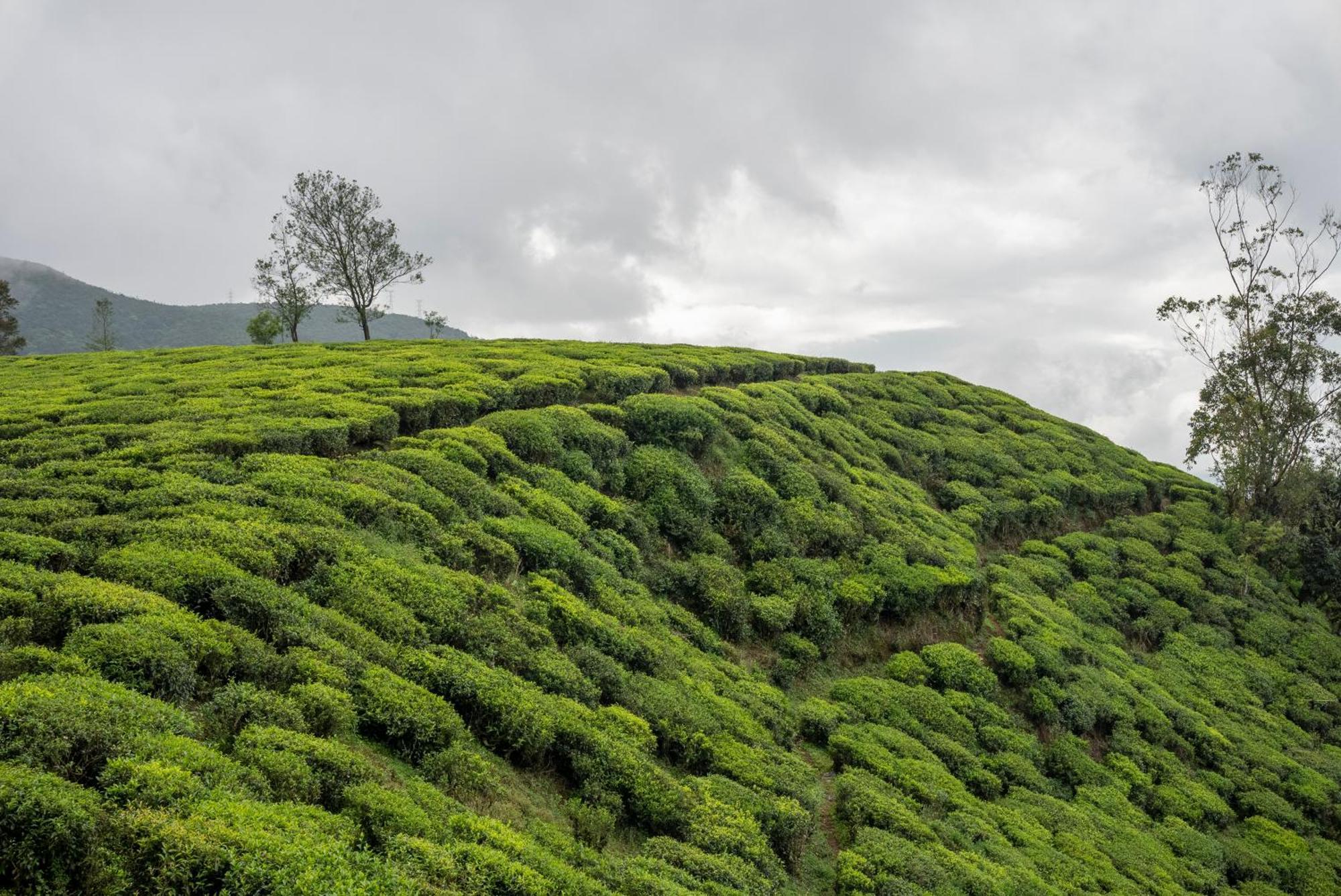 Aaradhya Nuwara Eliya 호텔 외부 사진